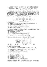 山东济宁市2024-2025学年高一上学期期末模拟化学试卷（解析版）