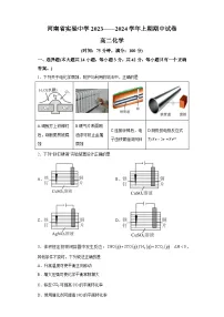 河南省实验中学2023-2024学年高二上学期期中考试化学试题