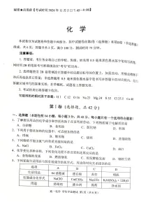 四川省绵阳市2024-2025学年高一上学期11月期中考试化学试卷（图片版，无答案）