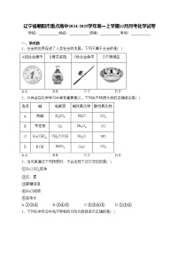 辽宁省朝阳市重点高中2024-2025学年高一上学期12月月考化学试卷(含答案)