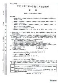 河南省名校联盟2024-2025学年上学期高三12联考化学试题（含答案）