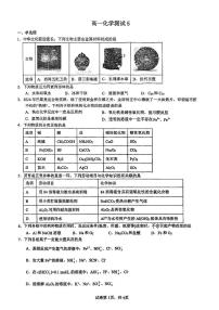 广东省深圳第二外国语学校2024-2025学年高一上学期12月月考 化学试卷
