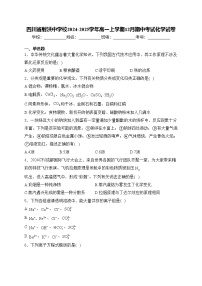 四川省射洪中学校2024-2025学年高一上学期12月期中考试化学试卷(含答案)