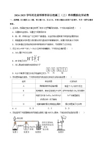 2024-2025学年河北省邯郸市部分校高三（上）单科模拟化学试卷