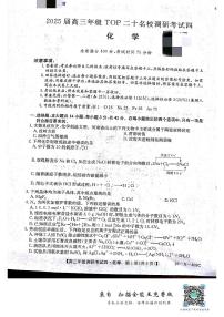 2025届TOP二十名校高三上学期调研考试化学试题（含答案）