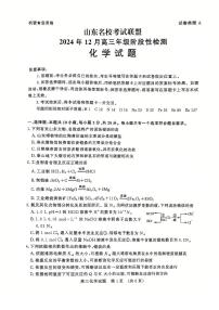 山东名校考试联盟2024年12月高三阶段性检测化学试题（含答案）