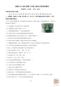 2025届成都七中高三上学期12月阶段性考试化学试题+答案