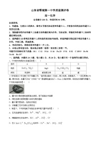 山东省菏泽市郓城第一中学2024-2025学年高一上学期12月月考化学试题（含答案）