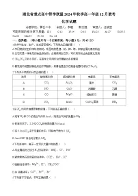 湖北省重点高中智学联盟2024-2025学年高一上学期12月联考化学试题（Word版附解析）
