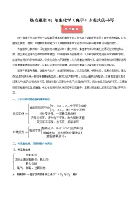 热点题型01 陌生化学（离子）方程式的书写-2025年高考化学 热点 重点 难点 专练（西北四省专用）