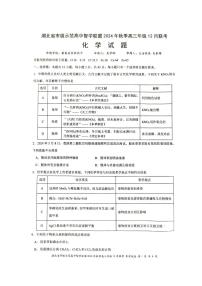2024年湖北市级示范高中智学联盟高三12月月考 化学试题（含答案）