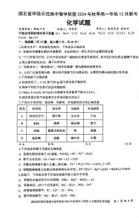 湖北省市级示范高中2024-2025学年高一上学期12月联考 化学试卷