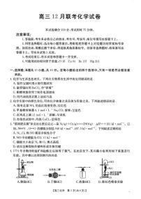 化学丨金太阳（25-198C）2025届高三12月联考化学试卷及答案