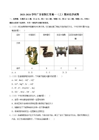 2023-2024学年广东省阳江市高一（上）期末化学试卷