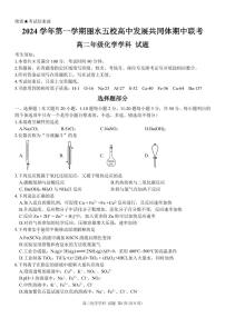 2025丽水五校高中发展共同体高二上学期期中联考化学试题PDF版含答案