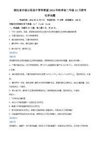 湖北省市级示范高中智学联盟2024-2025学年高二上学期12月联考化学试卷（Word版附解析）