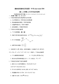 湖南省常德市汉寿县第一中学2024-2025学年高三上学期12月月考化学试卷（Word版附解析）