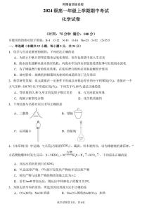 河南省顶级名校2024-2025学年高一上学期期中考试化学试题