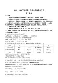 青海省西宁市大通县2023-2024学年高一上学期期末考试化学试卷