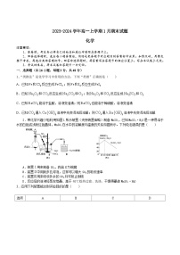 镇平县第一高级中学2023-2024学年高一上学期1月期末检测化学试卷（含部分解析）