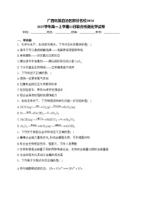 广西壮族自治区部分名校2024-2025学年高一上学期12月联合检测化学试卷(含答案)