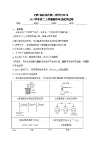 四川省宜宾市第三中学校2024-2025学年高二上学期期中考试化学试卷(含答案)