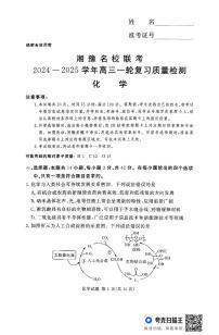 湘豫名校联考2024-2025学年高三上学期一轮复习质量检测化学试卷（PDF版附解析）