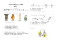 化学丨标准学术能力诊断性测试2025届高三上学期12月诊断性测试化学试卷及答案