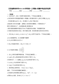 江苏省泰州中学2024-2025学年高一上学期11月期中考试化学试卷(含答案)