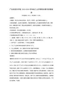 广东省部分学校2023-2024学年高二（上）期末教学质量监测化学试卷（解析版）