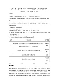 贵州省六盘水市2023-2024学年高二（上）期末化学试卷（解析版）