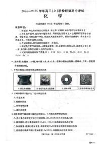 河北省邢台市质检联盟2024-2025学年高三上学期11月期中化学试卷及参考答案