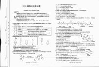 2025届四川金太阳高三上学期12月联考（25-289C）化学试题+答案