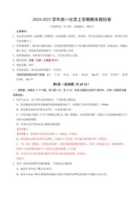 2025年高一上学期化学期末模拟卷（新高考“15+4”）