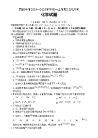 2025荆州中学高一上学期12月月考化学试题含答案