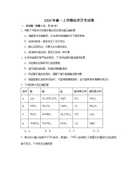 湖南省岳阳市汨罗市2024-2025学年高一上学期12月月考 化学试题