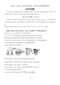 枣庄市第三中学2024-2025学年高二上学期一月份月考化学