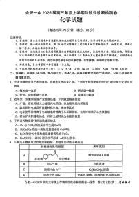 安徽省十联考合肥市第一中学等校2025届高三上学期阶段性（12月）诊断检测化学试题