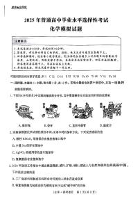 河北省邯郸市部分校2024-2025学年高三上学期12月月考化学试卷（含答案）
