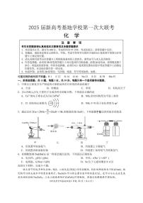 江苏省新高考2024-2025学年高三上学期12月第一次大联考化学试题（含答案）