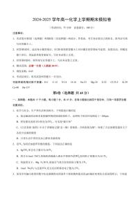 2024年-2025年高一化学上学期期末模拟卷（新高考“15+4”）（含答案）