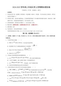 2024年-2025年高二上学期化学期末模拟卷（新高考“14+4”）（含答案）