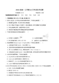 河北省唐县第一中学2024-2025学年高一上学期12月考试化学试卷