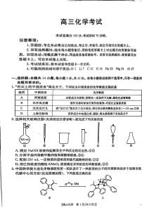 青海省部分学校2025届高三上学期12月联考化学试卷（PDF版附解析）