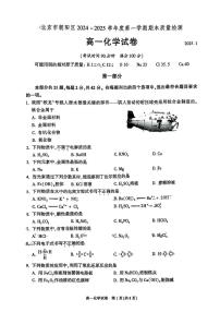 2025北京朝阳高一（上）期末化学试题及答案