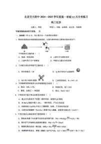 2024北京交大附中高三（上）12月月考化学试卷
