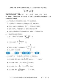 重庆八中2025届高三上学期1月期末考试化学试题+答案