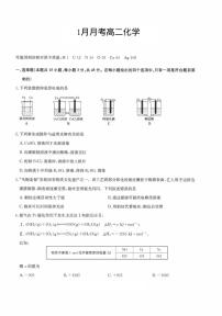 河北省沧州市南皮县南皮县第一中学2024-2025学年高二上学期1月月考化学试题
