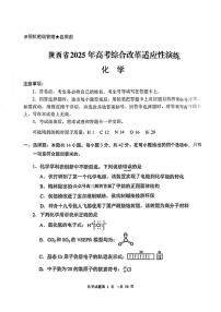 八省联考2025年高考综合改革适应性演练化学试题-陕西卷