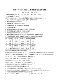 安徽省阜阳第一中学2024-2025学年高一上学期期中考试化学试卷